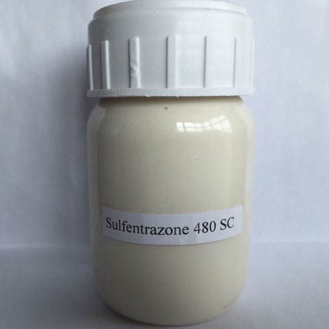 Sulfentrazona