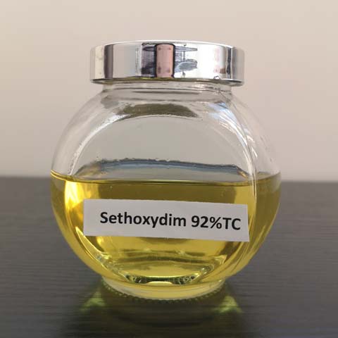 Setoxidim