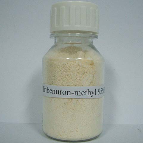 Tribenuron-metil