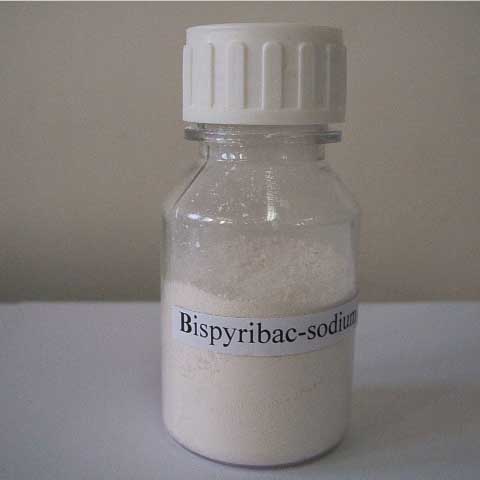 Bispiribac-sodio