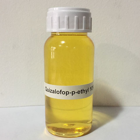 Quizalofop-p-etilo