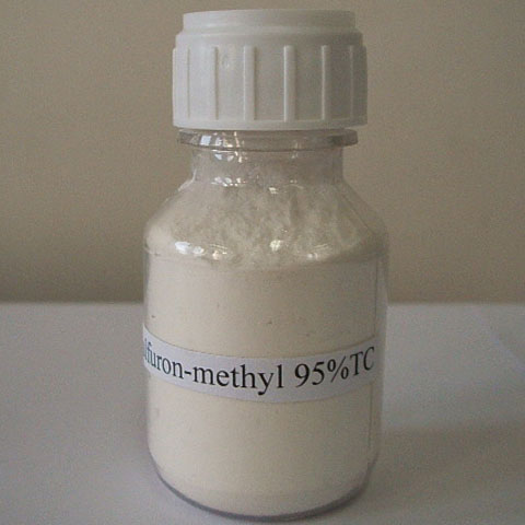 Triflusulfuron-metil