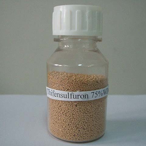Thifensulfuron-metil