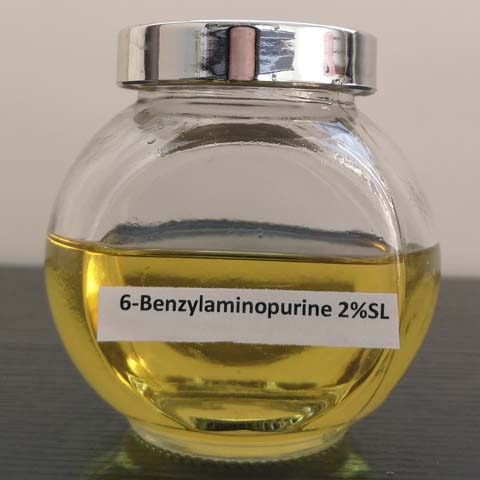 6-bencilaminopurina (6-BA)